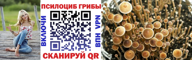 Псилоцибиновые грибы Cubensis Обоянь