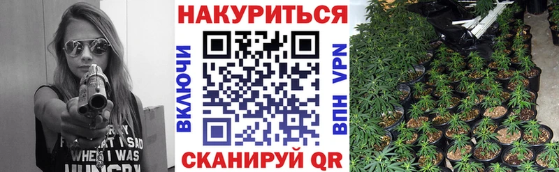 Бошки Шишки план Обоянь